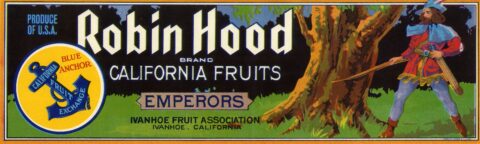 Robin Hood